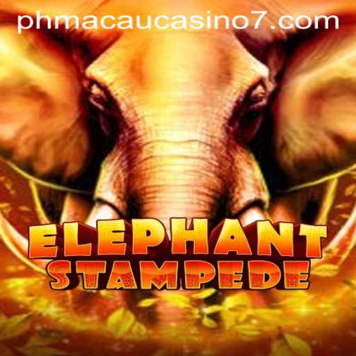 ElephantStampede: A Wild Ride through Virtual and Real World Excitement