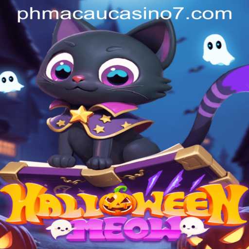 Explore the Spooky World of HalloweenMeow and Its Mysterious Macau Casino Connection