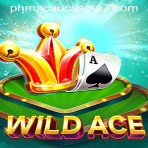 Exploring the Thrills of WildAce: An Intriguing Casino Game Experience
